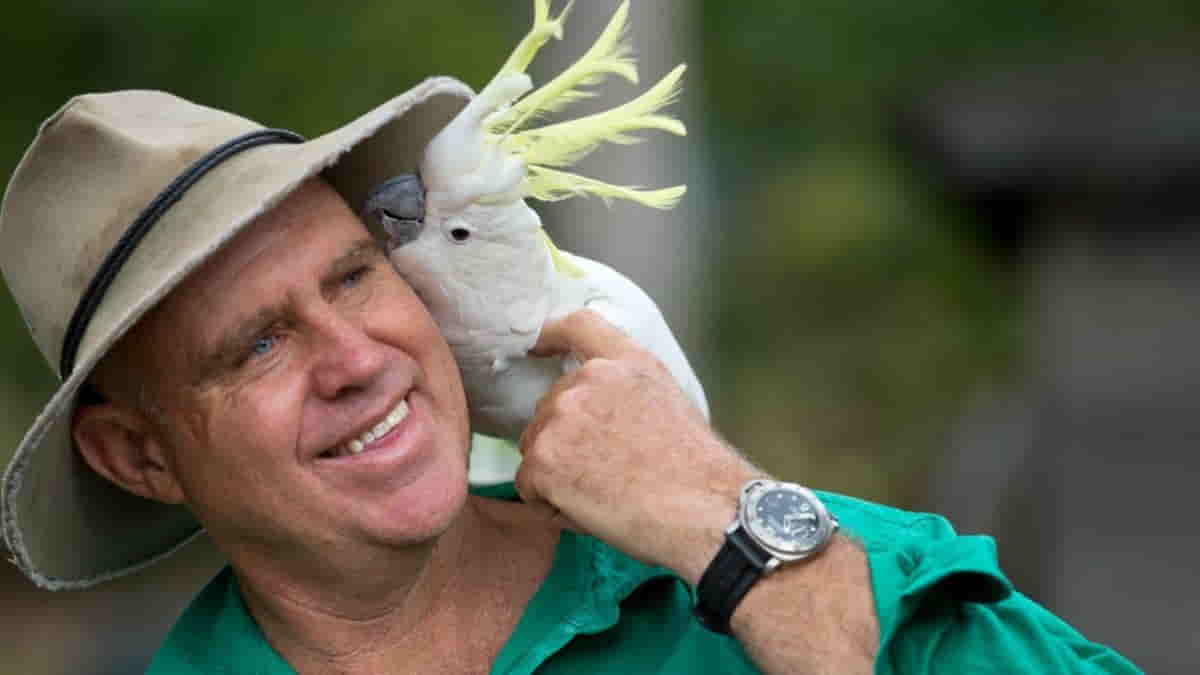 Matthew Hayden - ODI Cricket Records