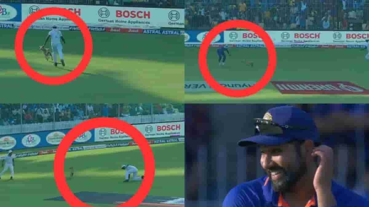 ODI