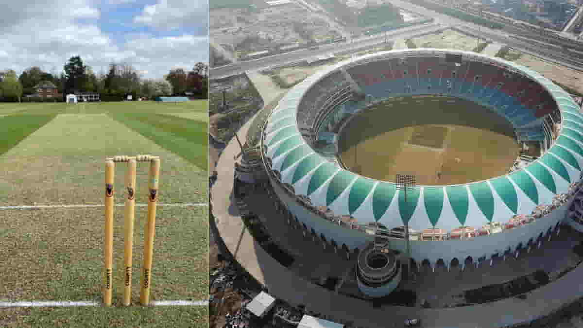 cricket