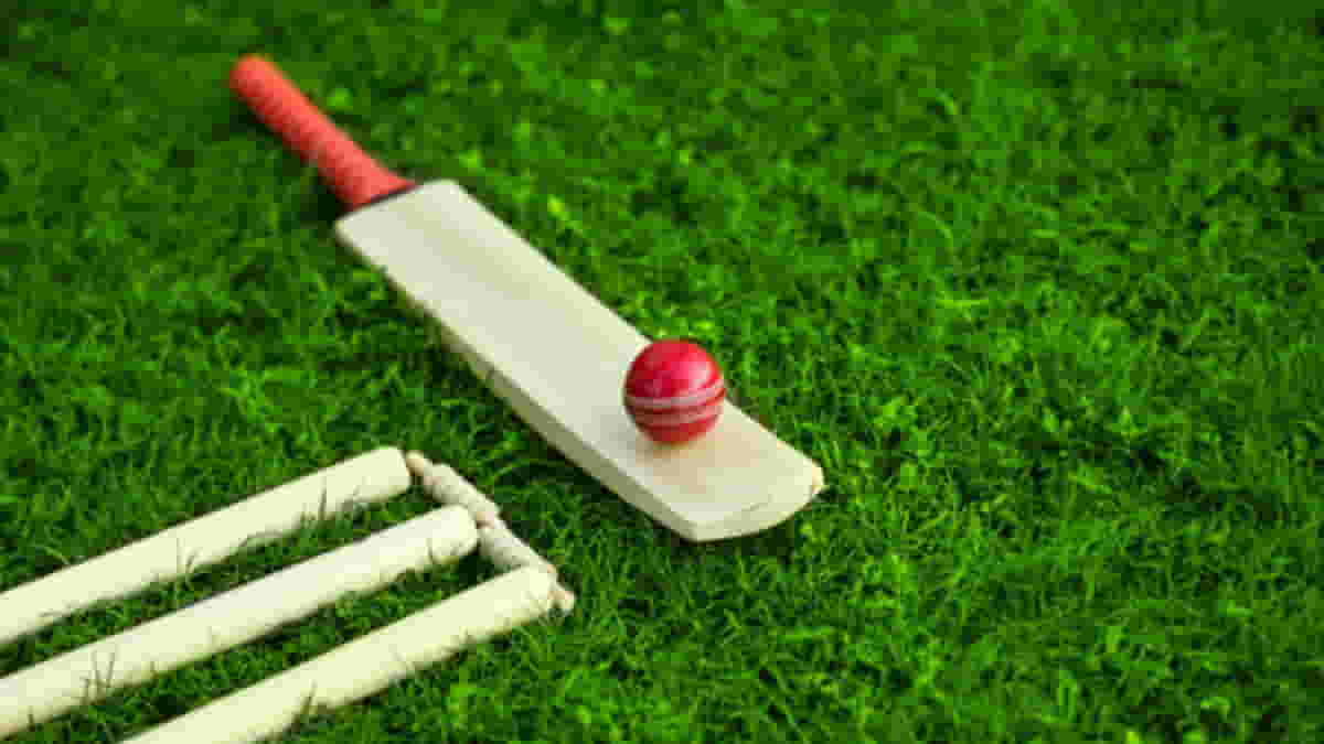 Cricket Bat Regulations: A Comprehensive Guide to ICC's Rules and Specifications for Bats