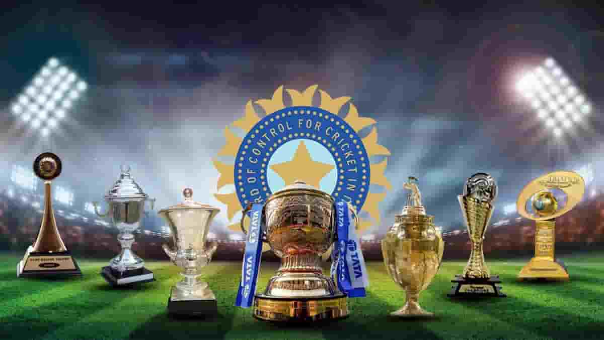 How many domestic cricket tournaments are there in India?