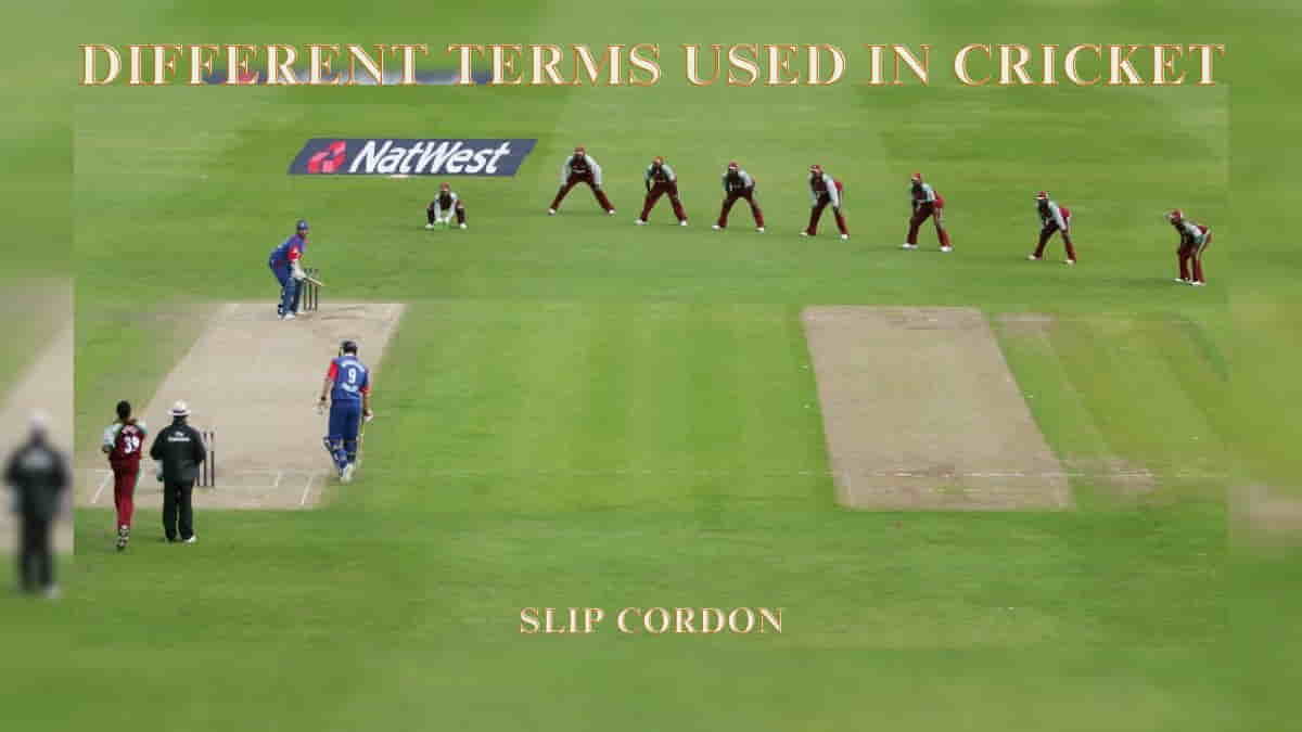 Do you know about the different terms used in cricket?
