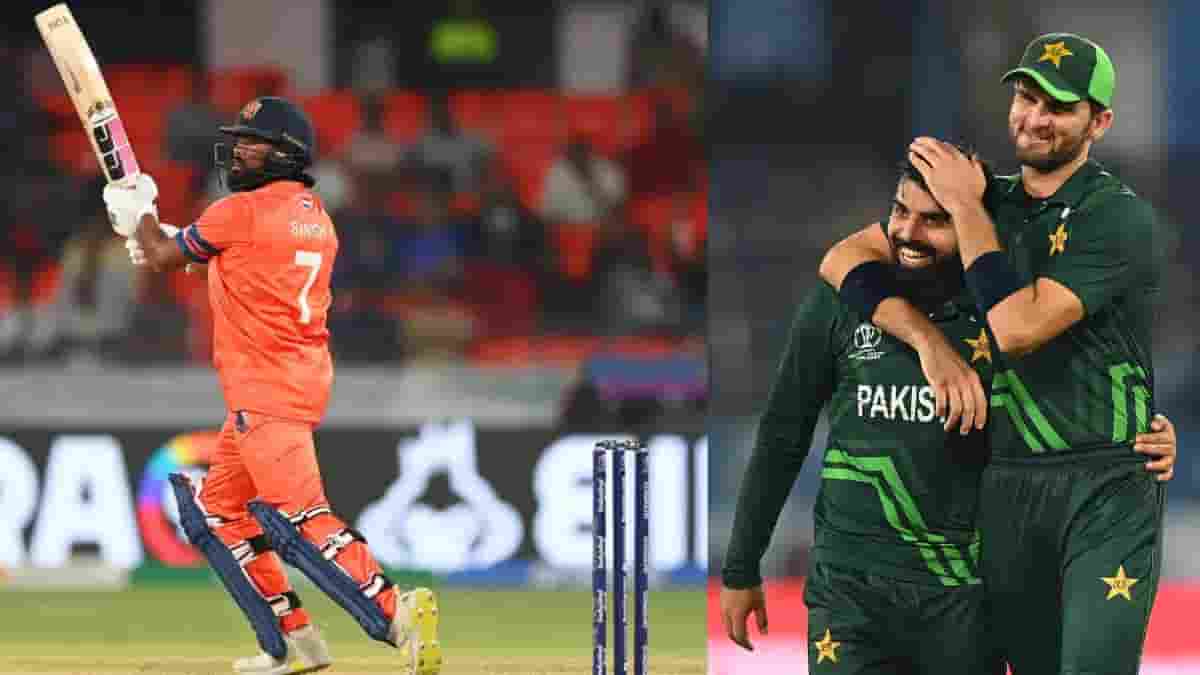 ODI World Cup 2023: Pakistan win against Netherlands by 81 runs