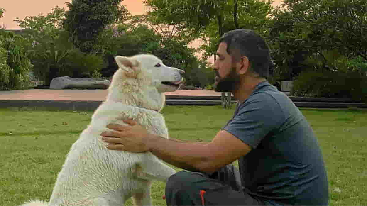 The Top Five Famous Indian Cricketers and Their Pets