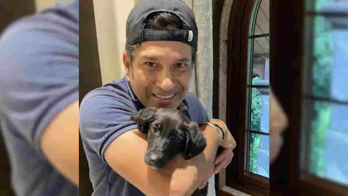 The Top Five Famous Indian Cricketers and Their Pets