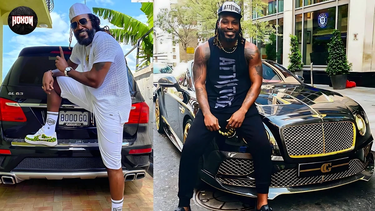 Warner vs Gayle - Luxurious Collection Comparison