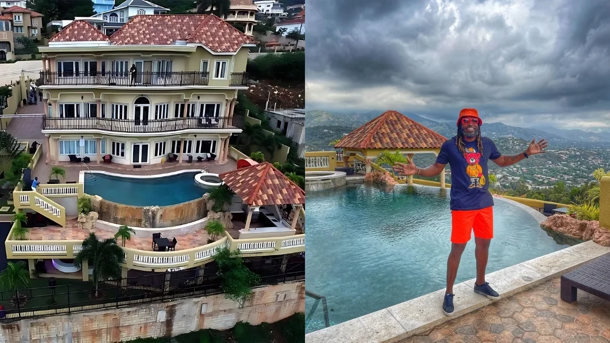 Warner vs Gayle - Luxurious Collection Comparison