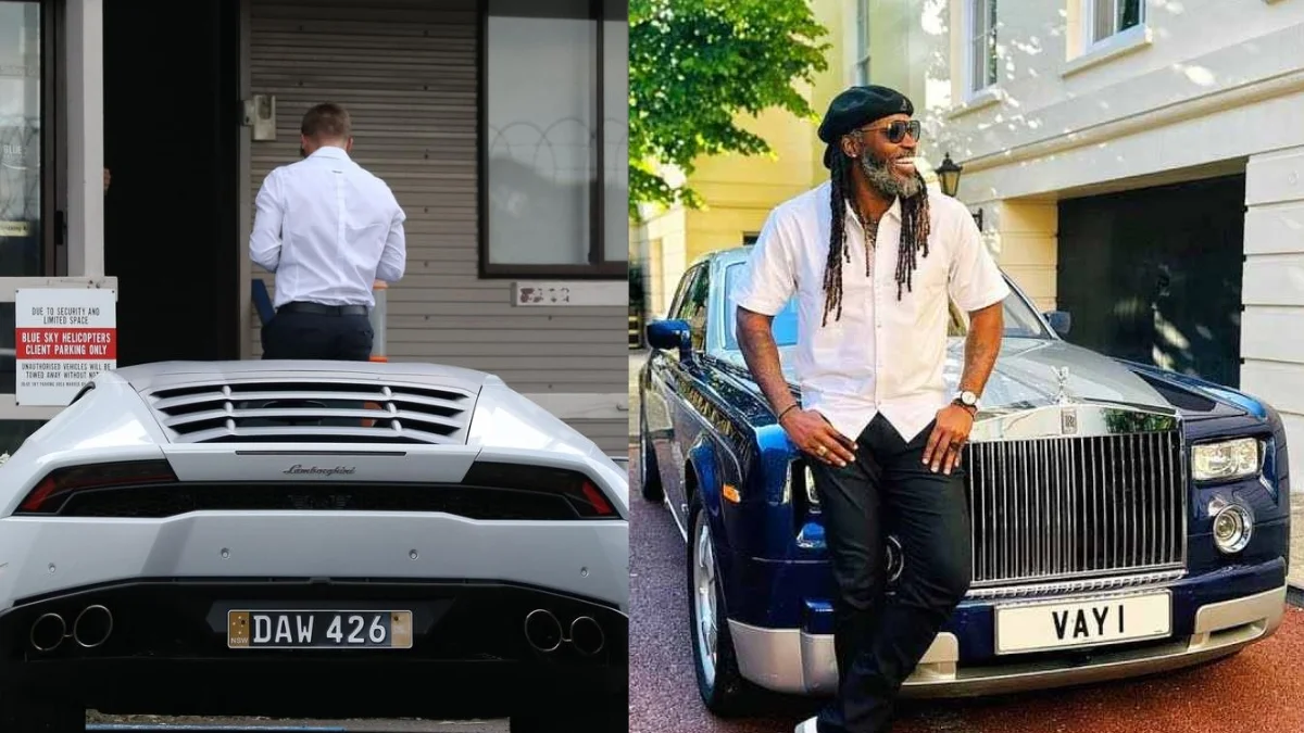 Warner vs Gayle - Luxurious Collection Comparison