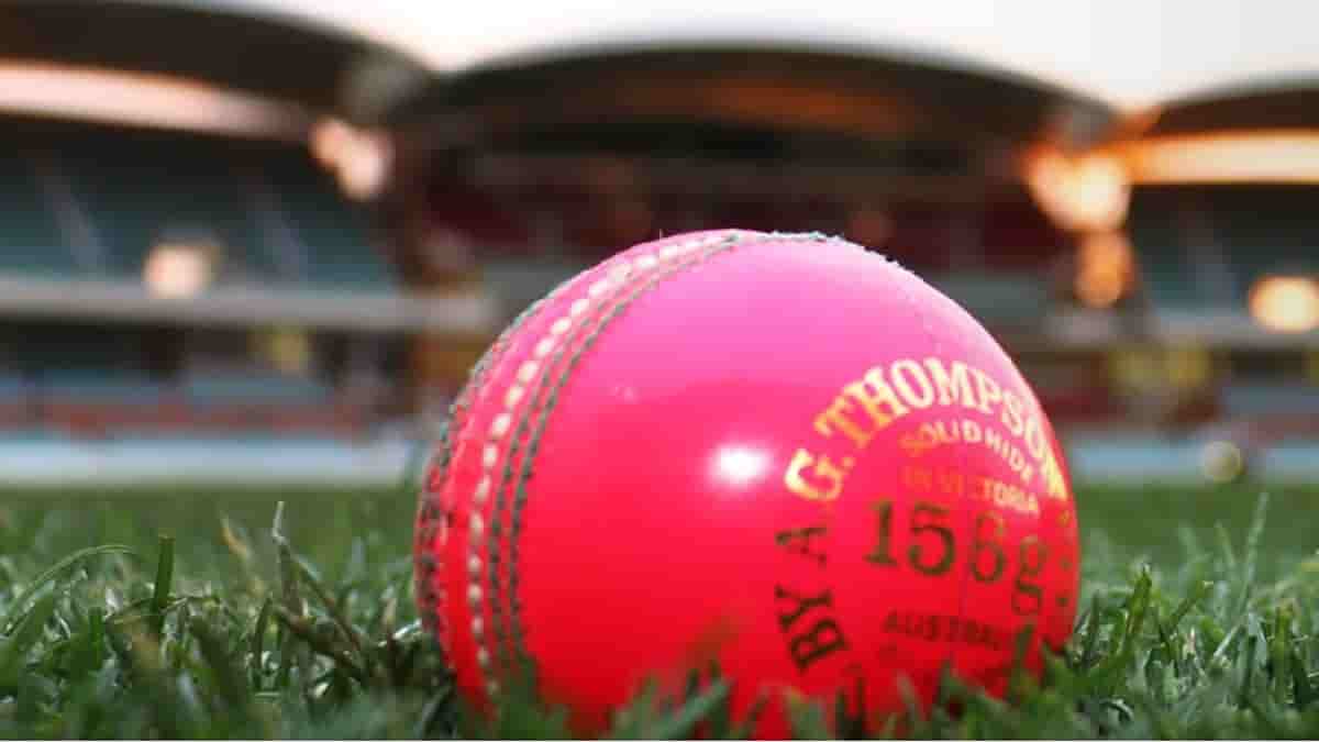 The Beginner's Guide To Cricket Equipment: Essentials For Safe And Effective Play