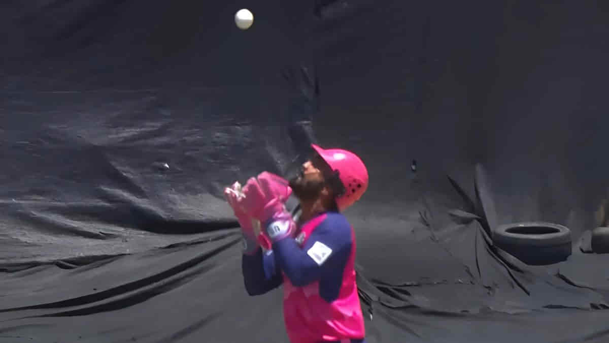 SA20: Dinesh Karthik Takes An Extravagant Catch At The Age Of 39
