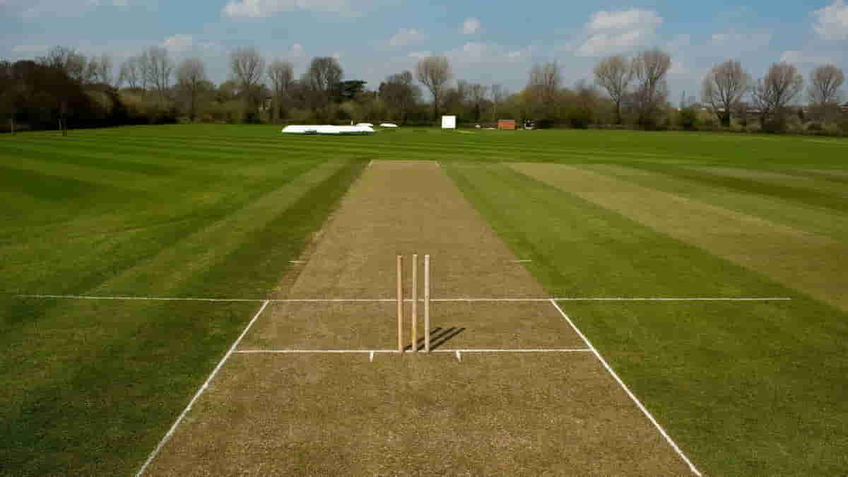 Pitch Making: Science Behind Making Of Cricket Pitch