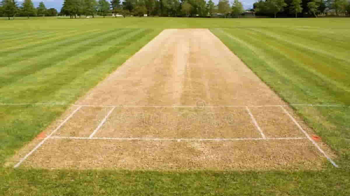 Pitch Making: Science Behind Making Of Cricket Pitch
