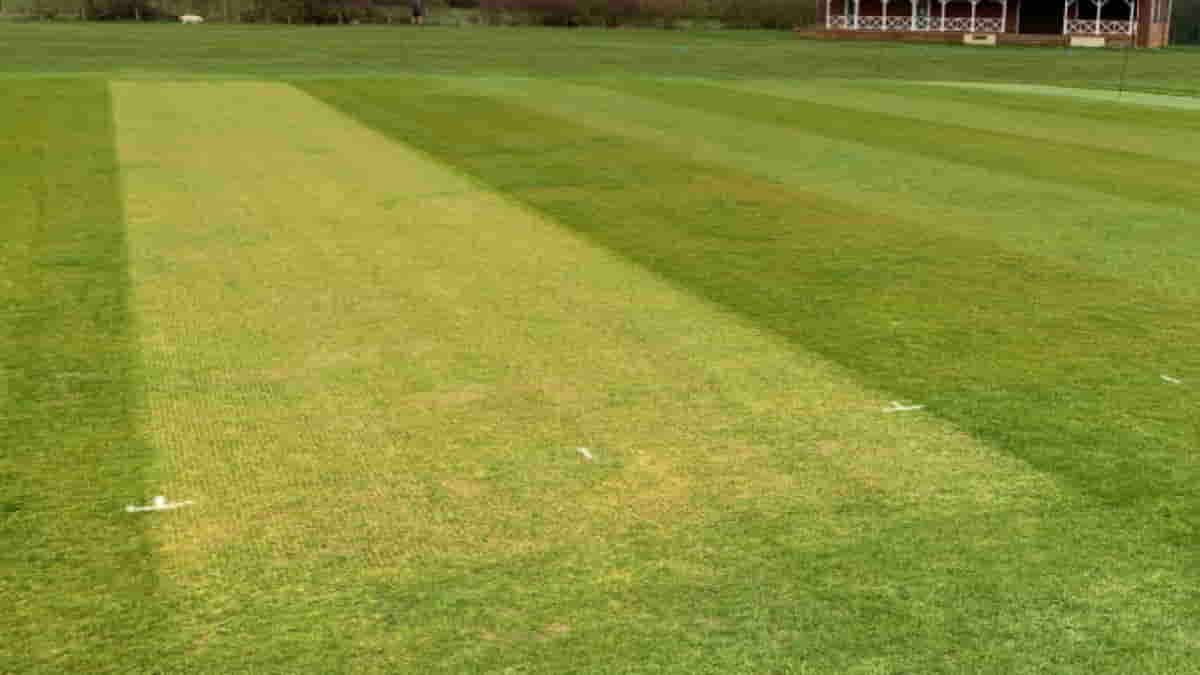 Pitch Making: Science Behind Making Of Cricket Pitch